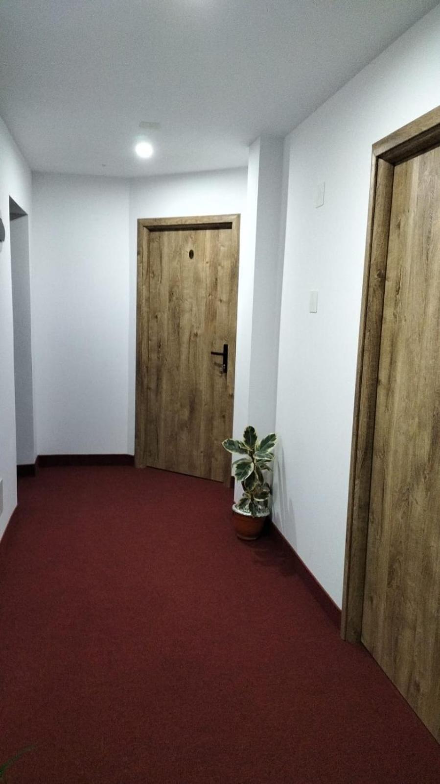Pensiune Stirbu Borşa Extérieur photo