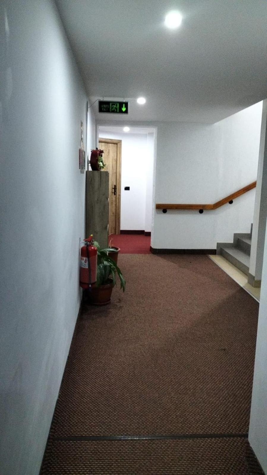 Pensiune Stirbu Borşa Extérieur photo