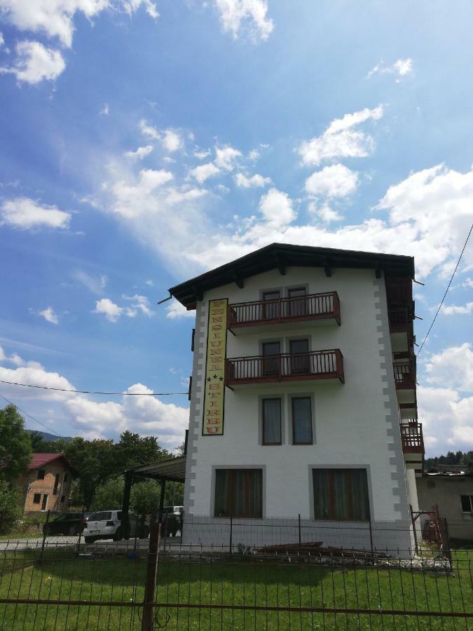 Pensiune Stirbu Borşa Extérieur photo