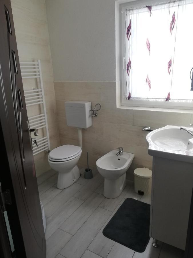 Pensiune Stirbu Borşa Extérieur photo